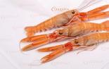 Langoustine: erinevus krevettidest ja homaaridest, kuidas süüa teha Peegeldus kultuuris