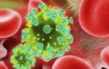 HIV: patogeeni omadused, patogenees ja haiguse ravi