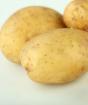 Fördelarna med potatis och myter om sina faror som användbara potatis eller