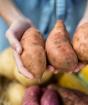 Vad är förmånen och skadorna för potatis för människors hälsa än kokta potatis