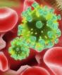 HIV: mga katangian ng pathogen, pathogenesis at paggamot ng sakit