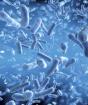 Mida võtta koos soole mikrofloora antibiootikumidega